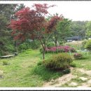 청미래산장 티스토리