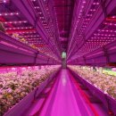 유한농장 이미지