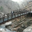 비룡수산 이미지