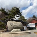 불국사관광안내소 | [경주] 2026년 3월 첫째 주 불국사 뚜벅이 방문 후기 버스랑 다리로 이겨내기 성공