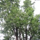 종합운동장길 이미지