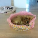 예솔농장 이미지