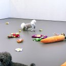 커몽커몽펫 | [대구애견호텔 추천] 댕댕이들 커몽 ! 대구애견호텔 모여라솜뭉치 본점