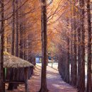 카메라 무작정 따라하기 이미지