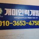 개미인력개발 네이버블로그