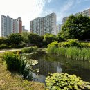 서천레스피아공원 이미지