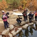 심적유원지 이미지