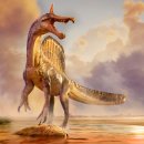 CW-0118-01 이미지