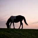 번성농장 이미지