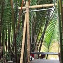 동막골캠프 | 코타키나발루 3박 5일 엄마랑 여행 1일차💙 - 봉가완 반딧풀 투어🌟