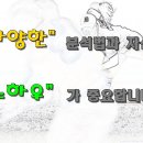 태양모타 이미지