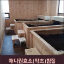 애니원효소 - 동구 동대전로248번길 19 | 애니원효소