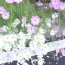 옥성자연휴양림 이미지