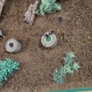 원주곤충마을박물관 이미지