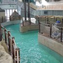 비발디파크사우나 이미지