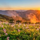 산의향기 네이버블로그