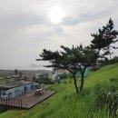 G1361 티스토리
