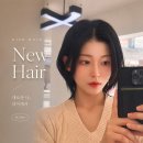 이용실 | 서면미용실 허쉬컷 레이어드컷 염색까지 잘하는 디에르