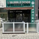 버블독스 - 달서구 | [경기/안산] 셀프애견목욕 추천, 버블독스 안산초지점 솔직후기