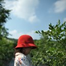 밤나무골 농장 이미지