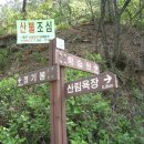 서대산주유소 이미지