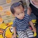 서대감족발보쌈 이미지