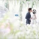 행복한동행 이미지