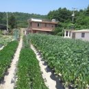 이루농장 이미지