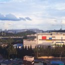 개나리노래연습장 이미지