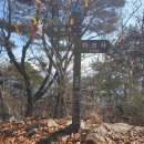 곡성-133 이미지