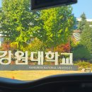 삼척강원타이어 이미지