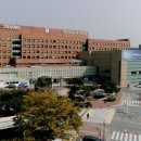 일동제일의원 이미지