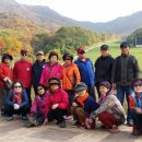 태평목장 이미지