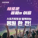 팡팡스포츠