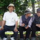 주상전하 이미지