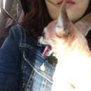 개포별빛동물병원 이미지