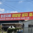 도마 태양광발전소 이미지