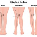 어베인휘트니스 이미지