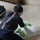 화이팅게임장 | 2025 그래비 트랙스 전국 릴레이 대회 in 국립 과천 과학관 참가 후기