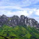 신석기추어탕 | 원주 여행 (자연 명소, 시내 맛집, 펫티켓)