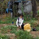 명기농장 이미지