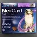 새김천약국 이미지