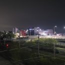 선유과선교 이미지