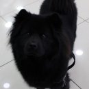 룩앤미 안경원 이미지