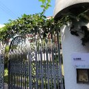 히로텔 | [대구 중구] 마에스트로 현대백화점 더현대 대구