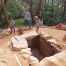 초촌리 고분군 이미지