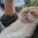 태리약국 이미지