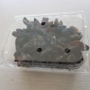 흥원농장 이미지