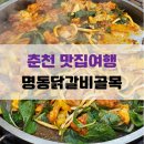 춘천 맛집여행 3편-명동닭갈비골목 빨강머리이모 후기