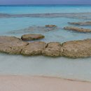 스트로마톨라이트 이미지